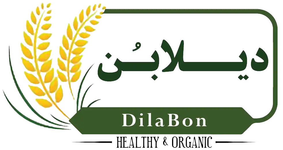 dilabon